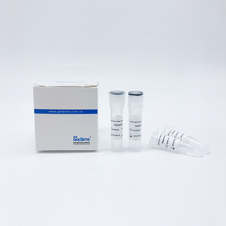 Kit de RT-PCR para SARS-CoV